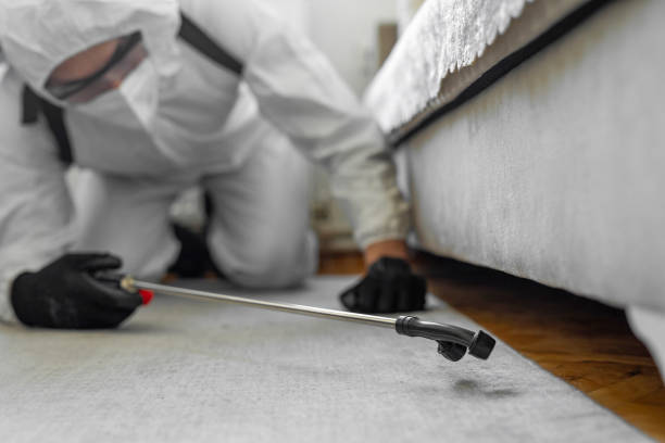 Professional Mosquito Control technician working in Northwest Harwinton, CT