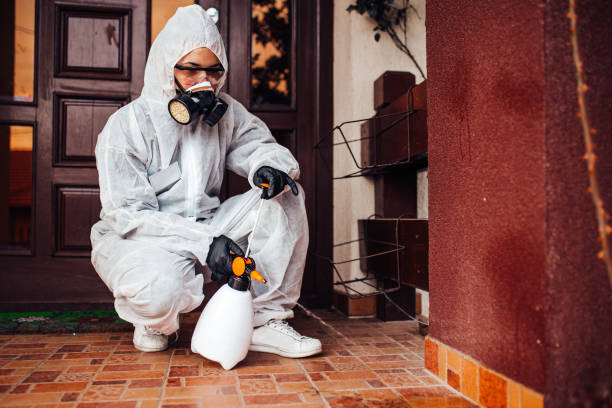 Reliable Mosquito Control contractor in Northwest Harwinton, CT by Nex Pest Control