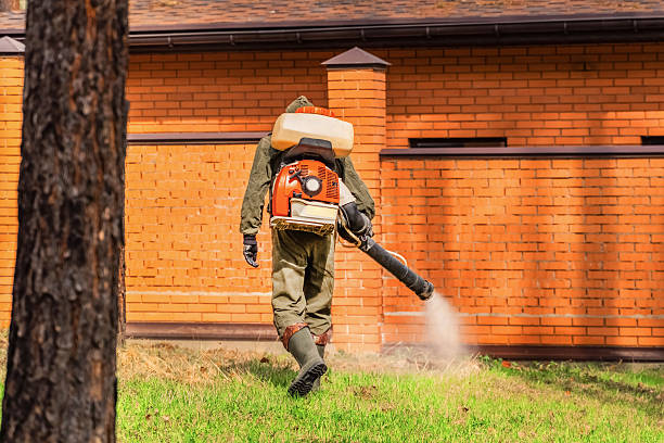 Trusted Emergency Pest Control service in Northwest Harwinton, CT - Nex Pest Control